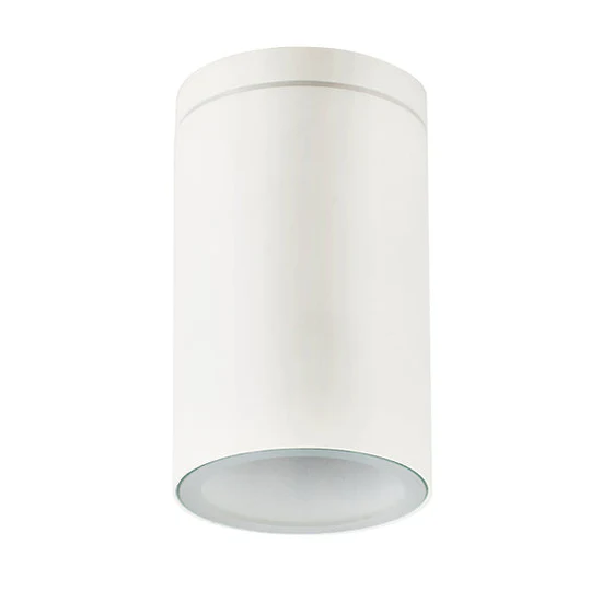 Lexi Myren Outdoor Ceiling Light White