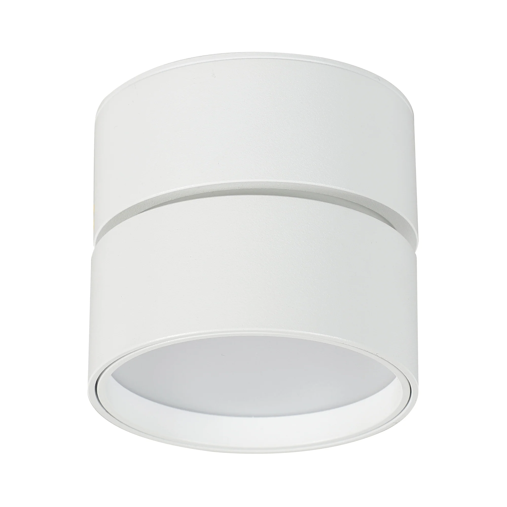 Mercator Diaz Surface mount Single-head Downlight